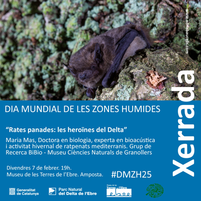 Conferència 'Rates penades: les heroïnes del Delta', Dia Mundial de les Zones Humides, Museu de les Terres de l'Ebre, Amposta, 2025