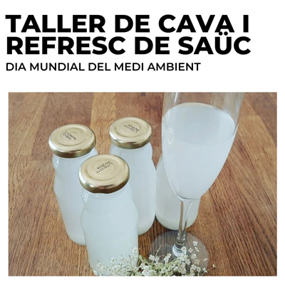 Taller de Cava i Refresc de Saüc, Estany d'Ivars i Vila-sana, 2024