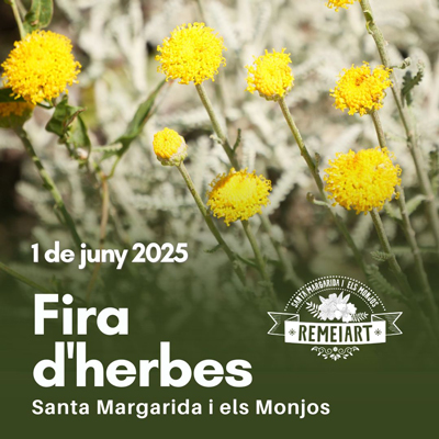 Fira Remeiart, Santa Margarida i Els Monjos, 2025 