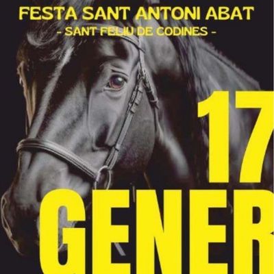 Festa de Sant Antoni Abat a Sant Feliu de Codines 2026, Festa de Sant Antoni Abat a Sant Feliu de Codines, 2026, Sant Feliu de Codines, Sant Antoni, 