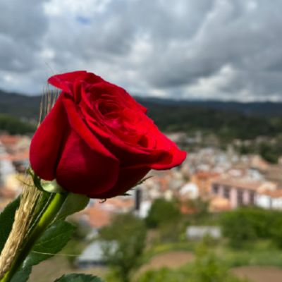 Setmana Cultural a Arbúcies, 2025, Arbúcies, Sant Jordi, 