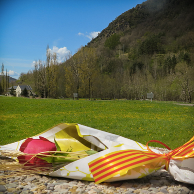 Sant Jordi, Rosa, Pirineus, Muntanya