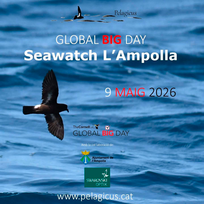 Global Big Day - Seawatch - l’Ampolla 2026