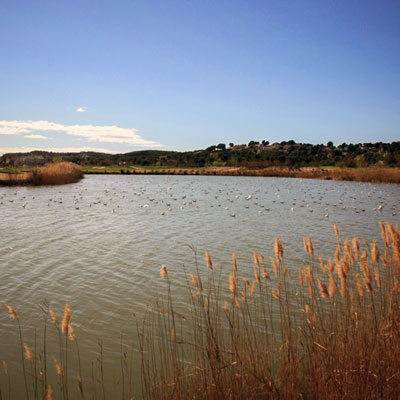 Sèquia Major, Vila-seca, 2020