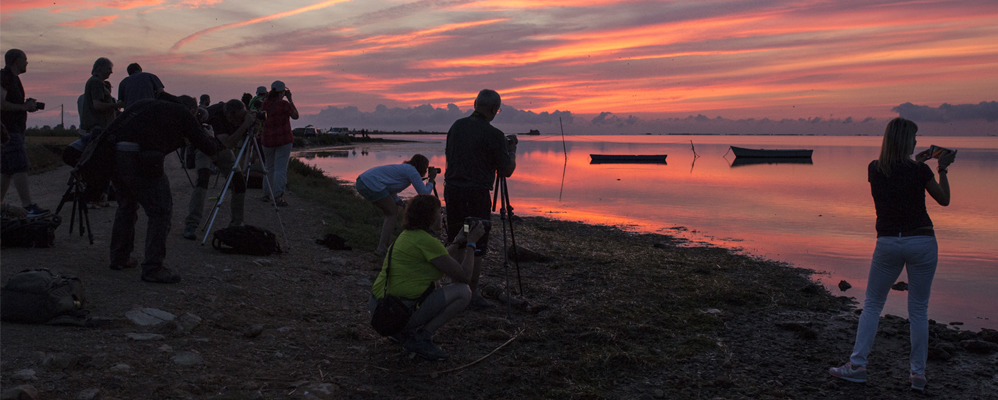 Delta Birding Festival