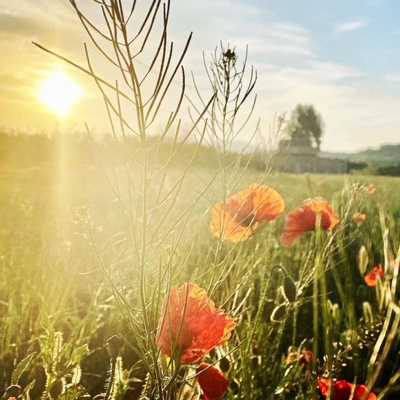 Xerrada-col·loqui 'El dol a través de la cultura' a la Fundació Mas Miró