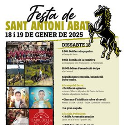 Festa de Sant Antoni a Solsona