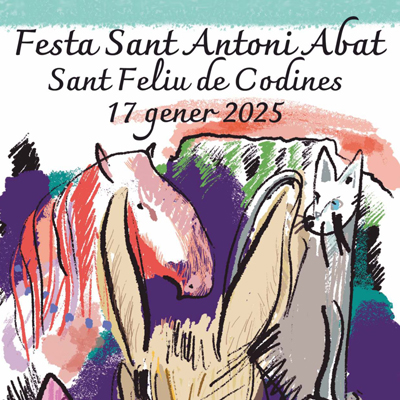 Festa de Sant Antoni Abat a Sant Feliu de Codines, 2025