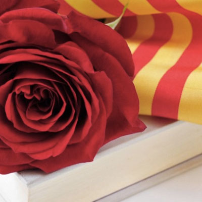 Dia del Llibre i la Rosa, Sant Jordi, Girona, 2020