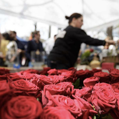 Diada de Sant Jordi a Girona, 2022