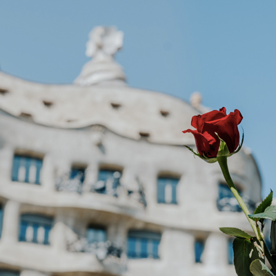 La Pedrera celebra Sant Jordi, 2022