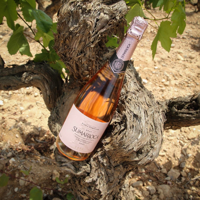 Cava Sumarroca, La primavera del cava, 2026