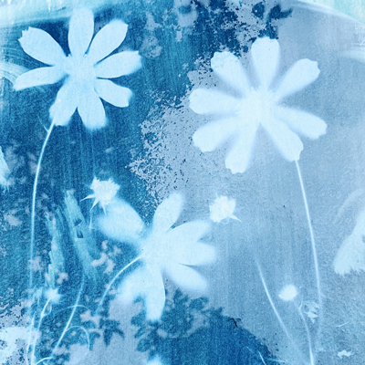 Art km0: Taller de cianotipia, Cassà de la Selva, 2025