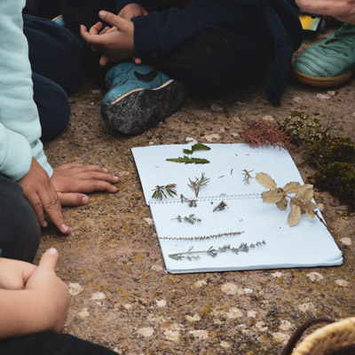 Activitat 'Petit herbari', Museu de la Vida Rural, 2021