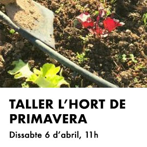 Taller 'L’hort de Primavera' a Torredembarra