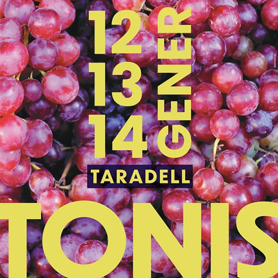 Festa dels Tonis de Taradell