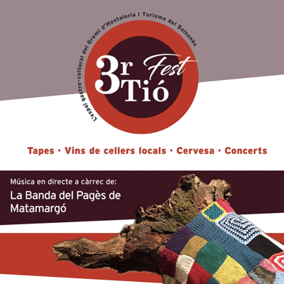 Tió Fest a Solsona, 2024