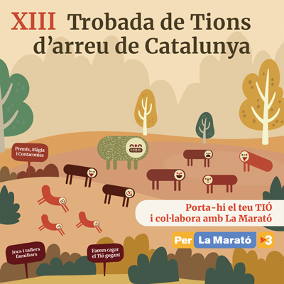 Trobada de Tions d'arreu de Catalunya, Reus, 2024