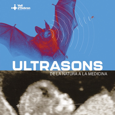 Exposició 'Ultrasons. De la natura a la medicina', 2024