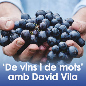 De vins i de mots