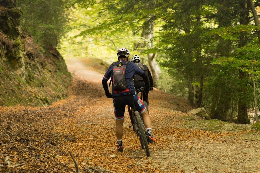 Ciclisme pel Parc Natural dels Ports a la Sénia