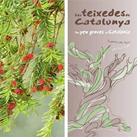 Les teixedes de Catalunya