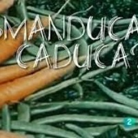 Conferència 'Convertir aliments en escombraries: quan, com, per què?'