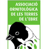 Associació ornitològica Picampall 