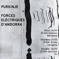 Purkinje + Forces Elèctriques d'Andorra