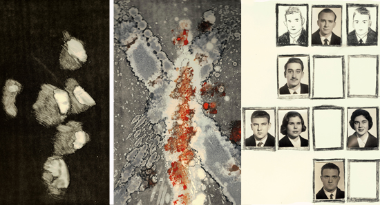 Treballs de Rebeca Royo