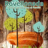 Rovellonada - El Perelló 2014