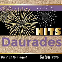 Nits Daurades 2015
