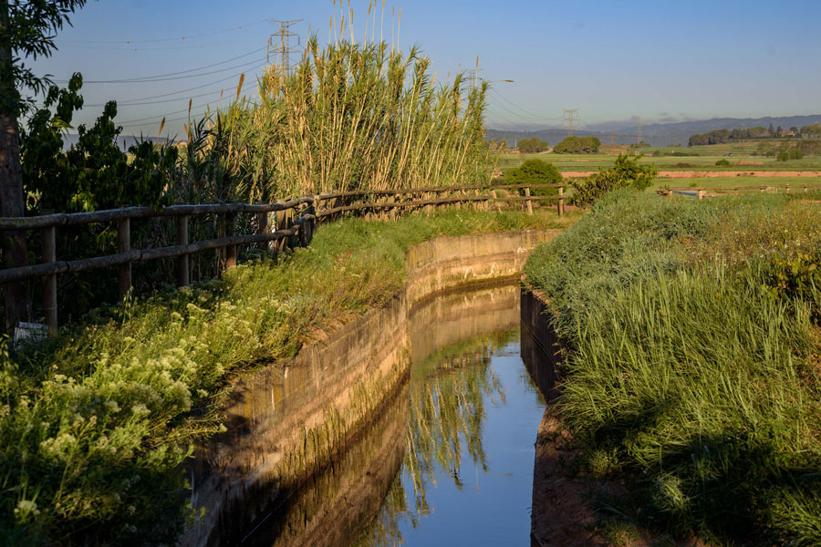Sèquia de Santpedor