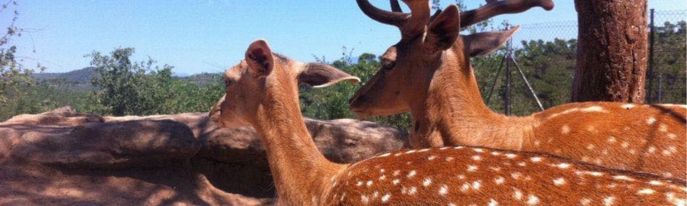 Granja Natura - Centre d'Apropament a la Natura