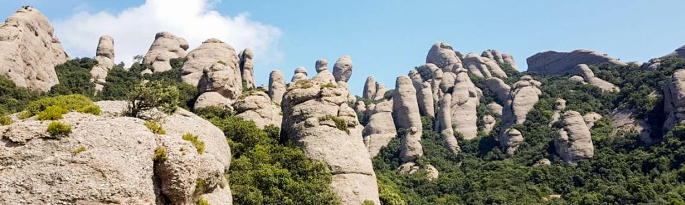 Montserrat, El Bruc