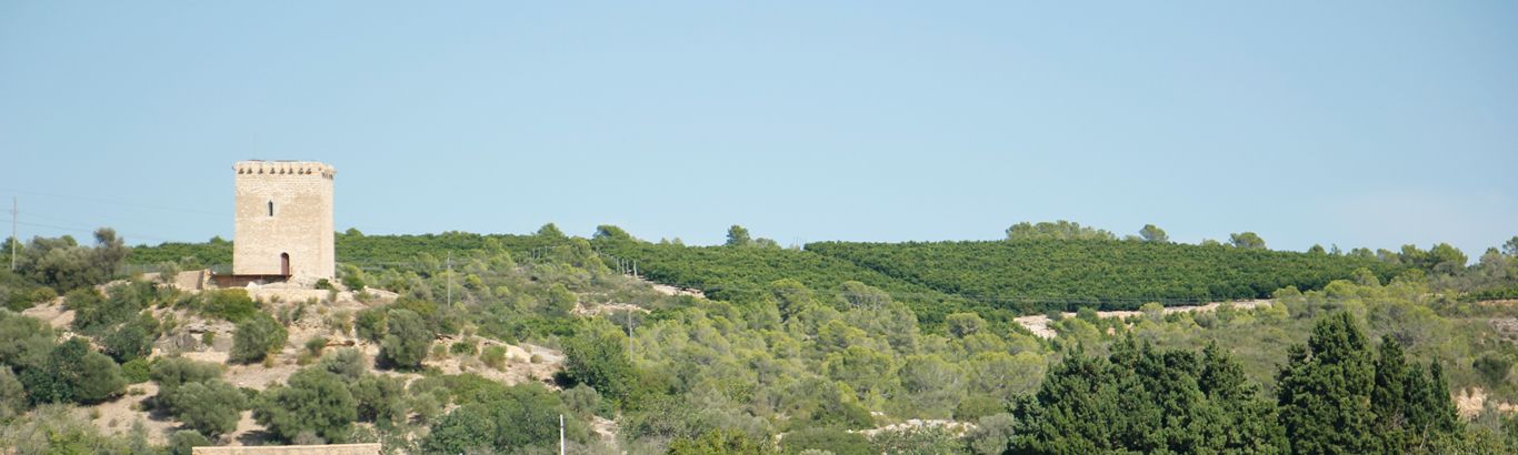 La Torre de Campredó