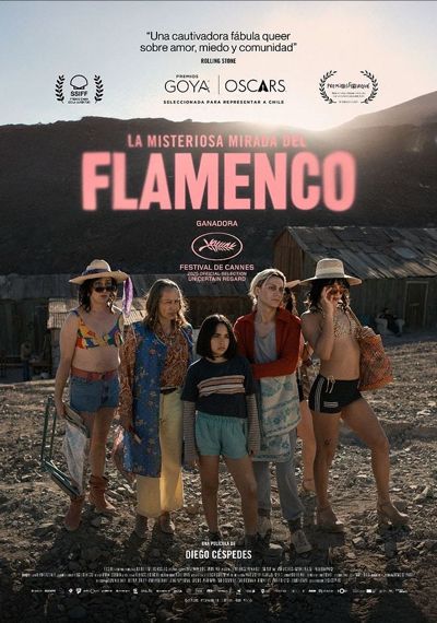 La misteriosa mirada del flamenco