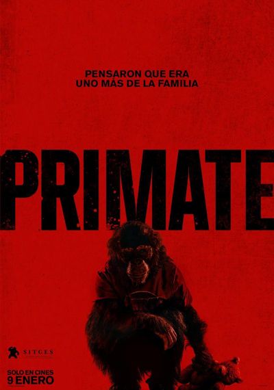 Primate