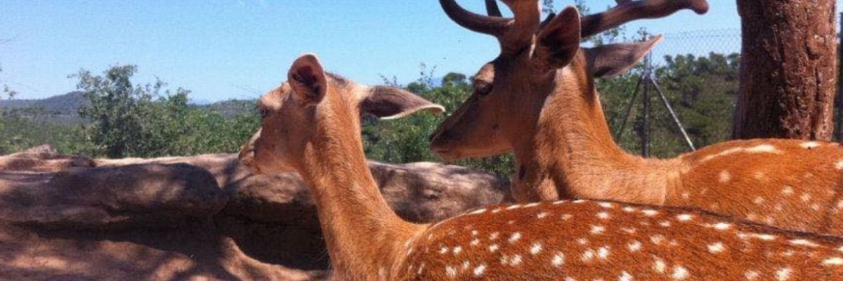 Granja Natura - Centre d'Apropament a la Natura