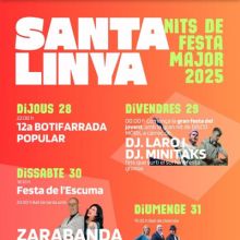 Nits de Festa Major de Santa Linya, 2025