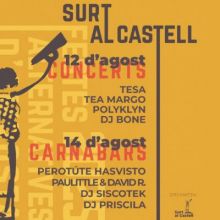 Festes alternatives 'Surt al castell' 2025, Festes alternatives 'Surt al castell', Surt al castell, 2025, Amposta, 