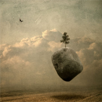 Autoconeixement a través dels Somnis