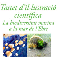 Taller 'Tastet d'il·lustració científica' 
